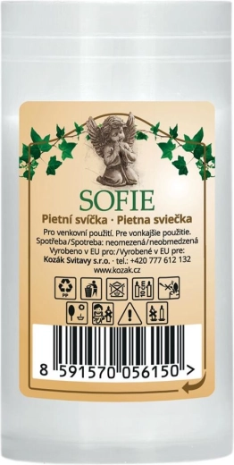 Recharge de bougie de cimetière en paraffine blanche 9,5 cm