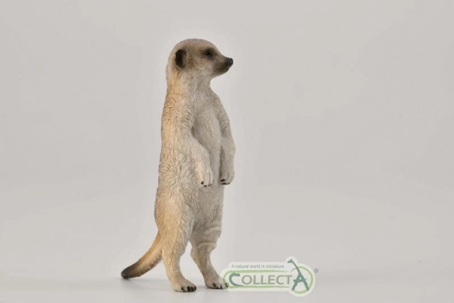 Collecta suricate figurine debout