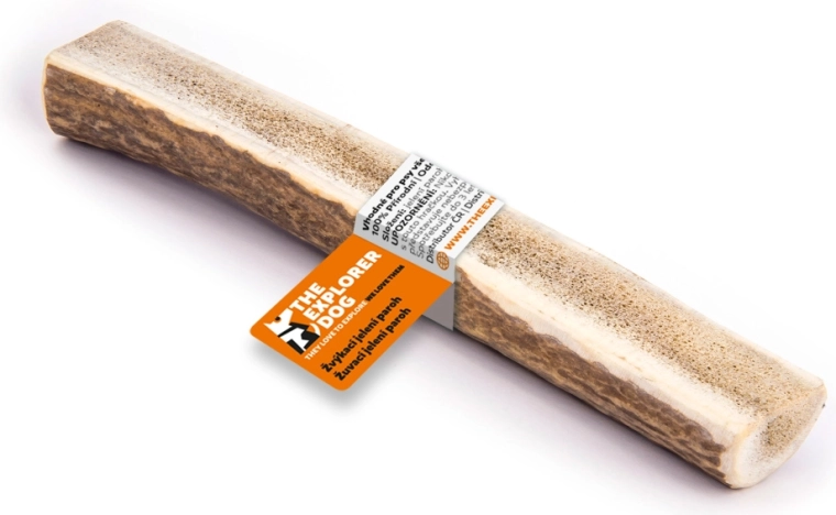 Explorer Dog bois de cerf XXL à mâcher – coupe tendre