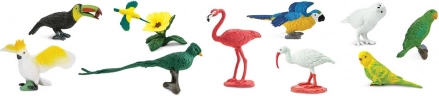 Safari Ltd - Tube - Oiseaux exotiques