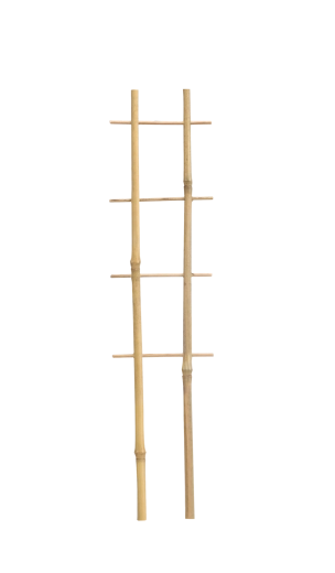 Tuteur double en bambou pour plantes 37 cm