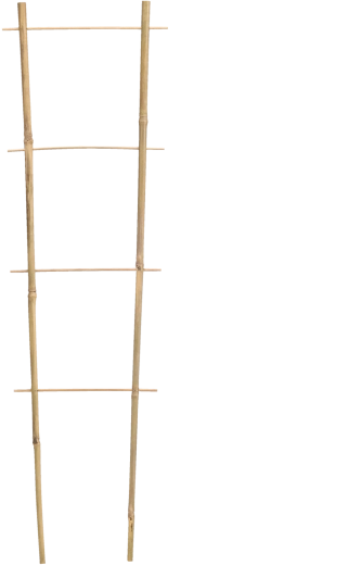 Trellis d’appui en bambou à barreaux 180 cm