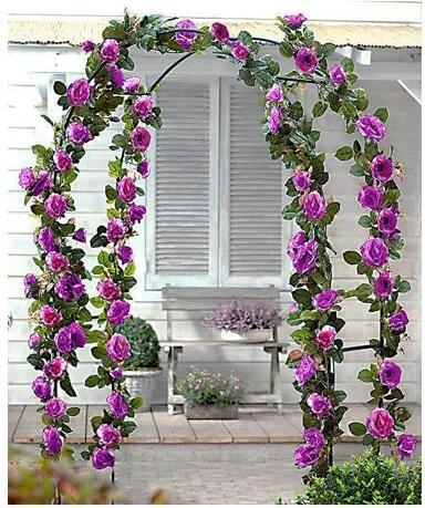 Support arqué pour plantes grimpantes 240 × 140 × 37 cm, en métal, vert