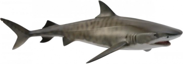 CollectA requin tigre