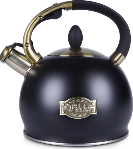 Bouilloire noire en acier inoxydable avec sifflet 3 l