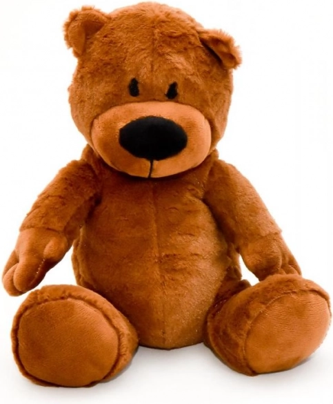 Peluche pour micro-ondes - ourson