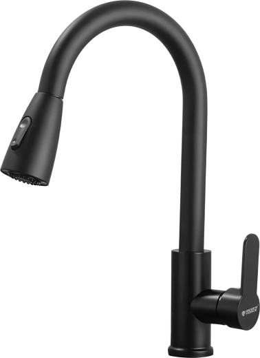 Mitigeur de cuisine Renew Force avec douchette extractible flexible, noir mat - 1 pièce