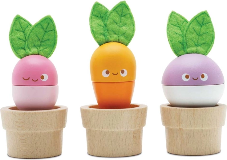 Le Toy Van pots de fleurs avec légumes
