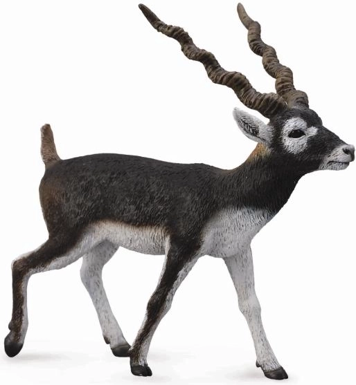 Figurine en plastique d’antilope cervicapre COLLECTA