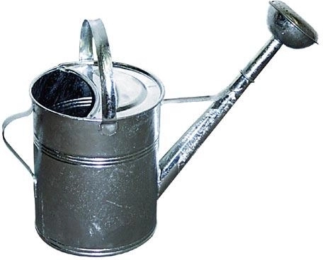 Arrosoir de jardin galvanisé 9 l avec pomme d’arrosage