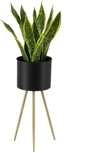 Support à plantes en métal élégant 60 cm, noir avec pieds dorés