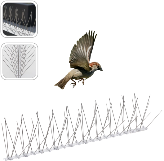 Pointes anti-oiseaux flexibles 50 cm, 60 pointes