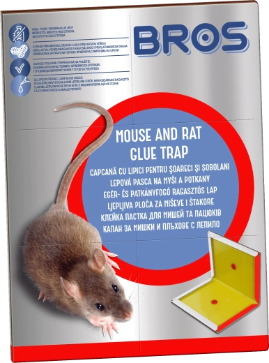 Piège collant pour souris et rats Bros