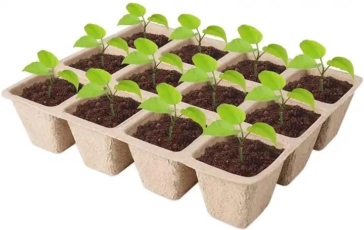 Plateau de semis en papier 21 × 17 × 5 cm – lot de 5 pièces