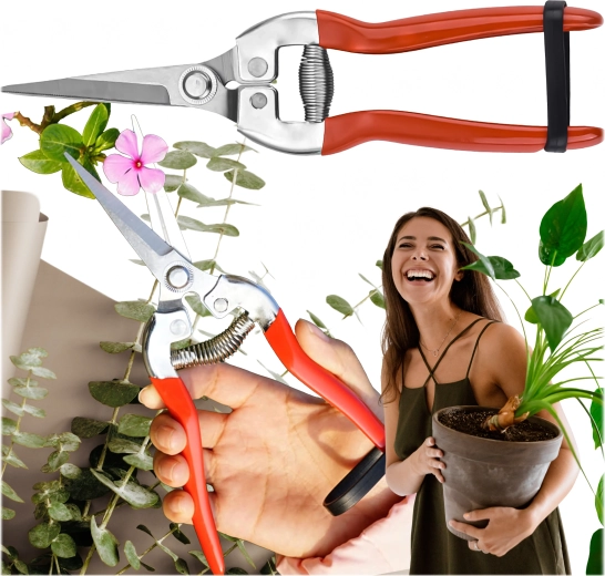 Sécateur de jardin à une main pour arbustes et branches