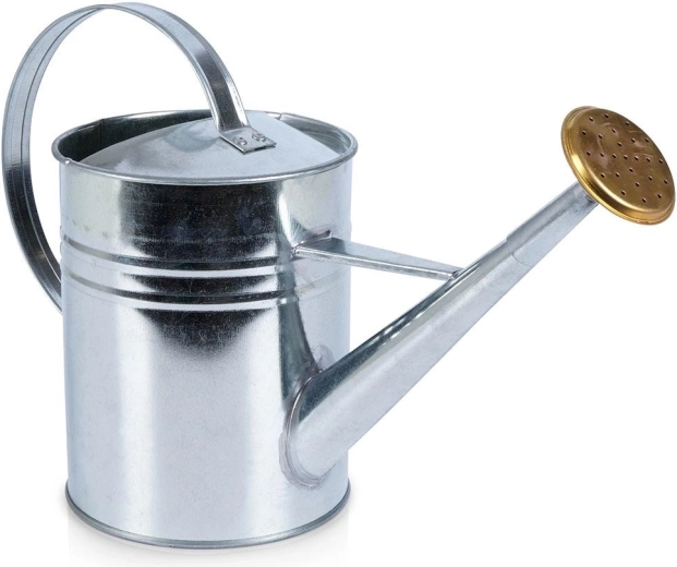 Arrosoir métallique 1,9 l