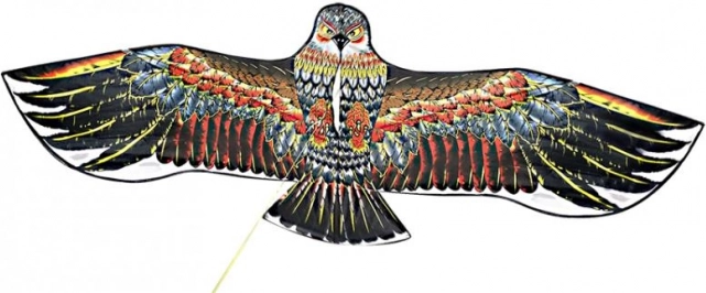 Cerf-volant Aigle 160 × 75 cm