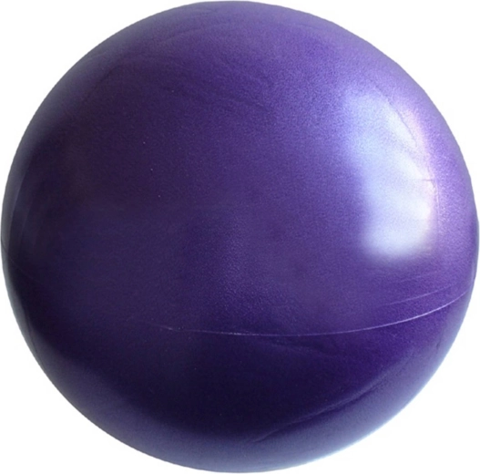 Ballon de rééducation et de fitness Overball 26 cm – Violet