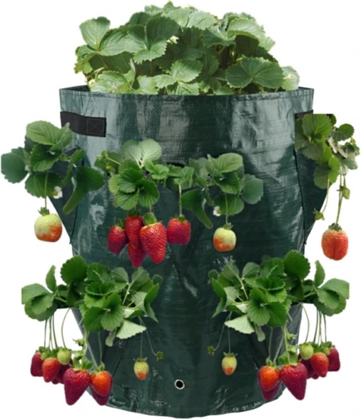Sac pour la culture de fraises et baies