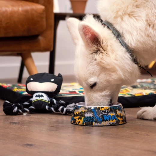 Gamelle pour chiens Batman M
