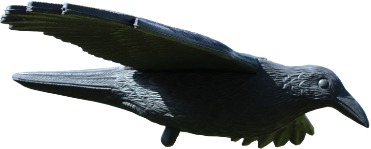 Répulsif pour oiseaux corbeau 80 × 44 × 12 cm
