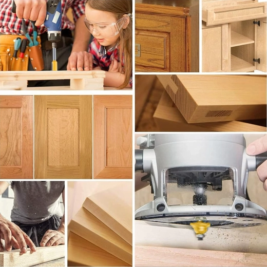 Jeu de fraises profilées pour le bois, 12 pièces dans un coffret en bois