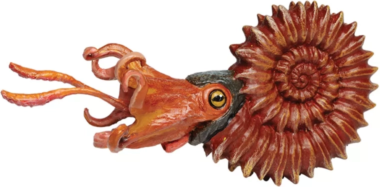 Safari Ltd. ammonite – figurine peinte à la main