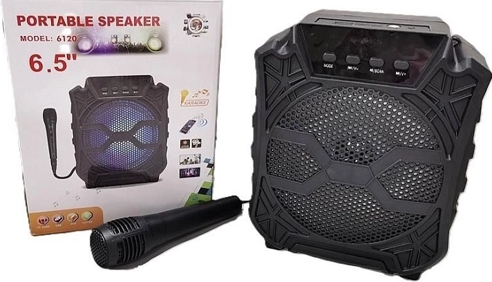Enceinte karaoké avec microphone