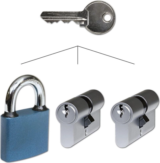 Set à fermeture commune : 2 cylindres 30/35 Ni et cadenas 52 RICHTER