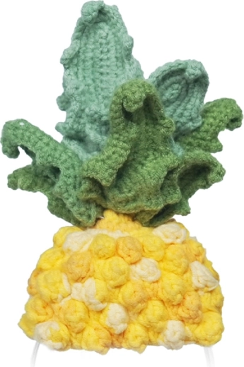 Costume tricoté ananas pour robot LOONA Premium