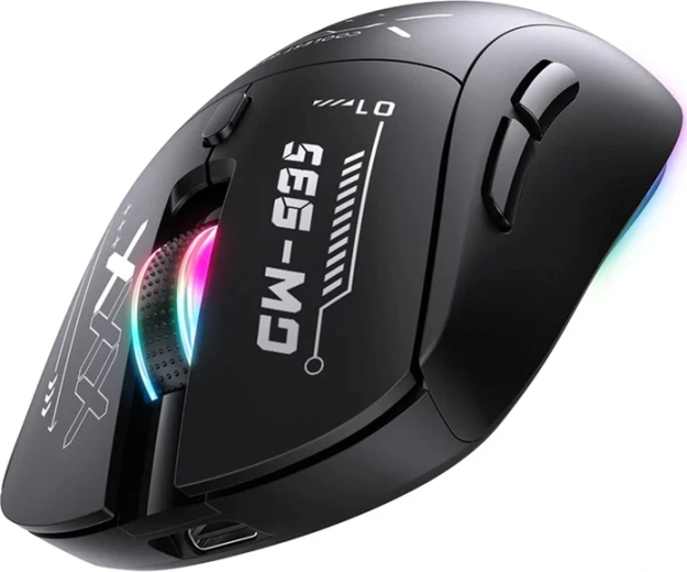 Souris de jeu ONIKUMA CW953 sans fil et filaire, RGB, 12800 DPI (noir)