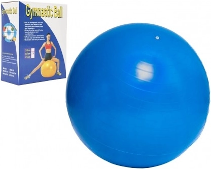 Ballon de gymnastique 65 cm pour l’entraînement et la rééducation