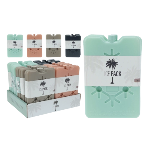 Ensemble de blocs réfrigérants pour glacières et sacs isothermes (2 pcs)