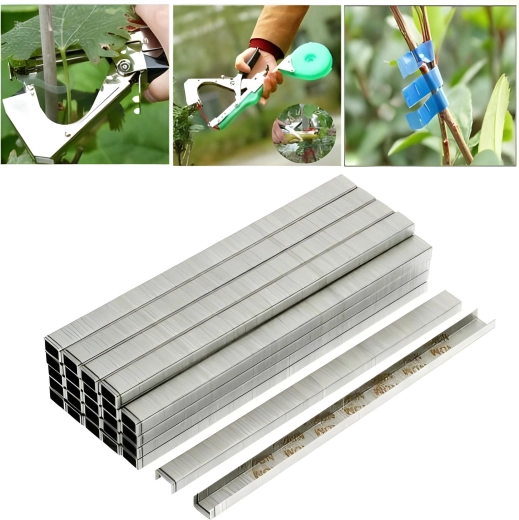 Agrafes en acier 4 × 6 mm pour pince lieuse de plantes