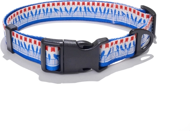Collier pour chien Explorer Dog Oiseaux L