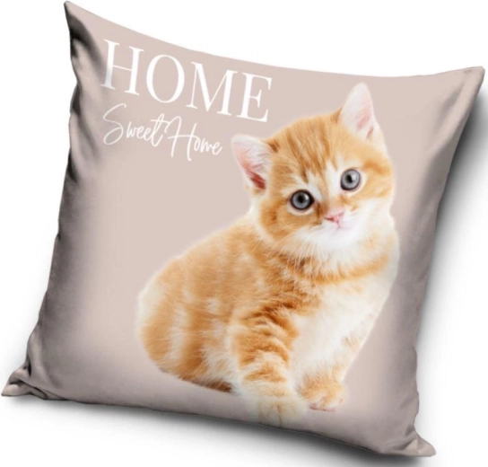 Housse de coussin chaton 40 × 40 cm