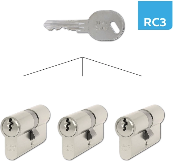 Cylindre 30+35 mm à fermeture identique RC3, nickel mat RICHTER (lot de 3 pcs)