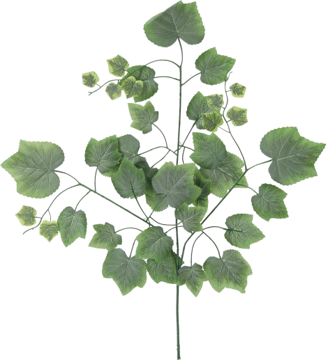Ensemble de branches artificielles avec feuilles de vigne, vert, 78 cm – 12 pcs