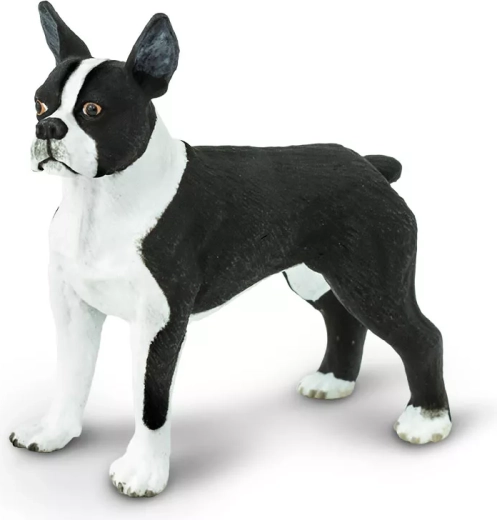 Safari Ltd. figurine de terrier de Boston