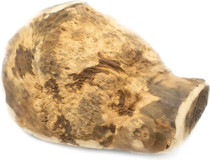 Explorer Dog racine à mâcher naturelle de bruyère pour chiens XL