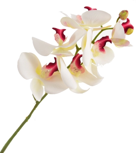Orchidée artificielle blanche 72 cm