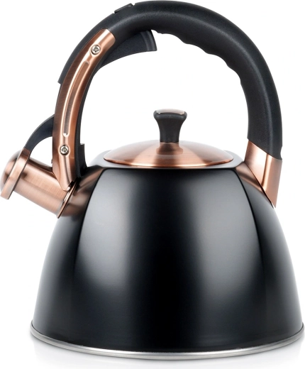 Bouilloire Vilde noire en acier inoxydable avec sifflet 2,8 l