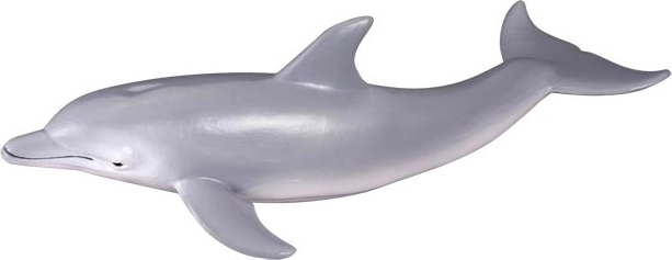 Dauphin