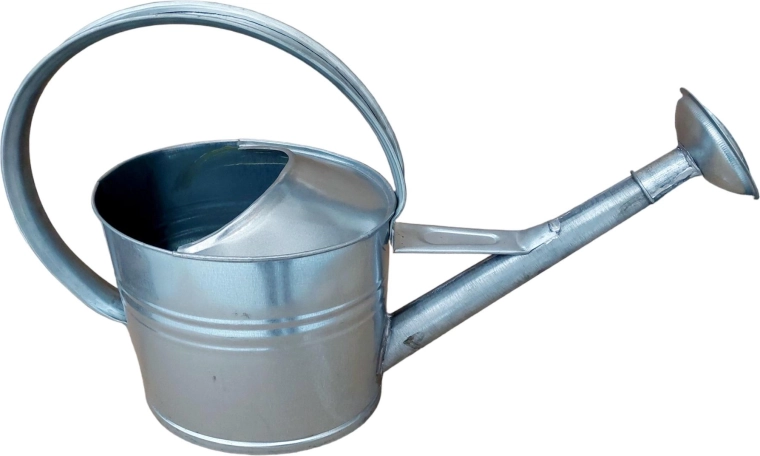 Arrosoir de jardin galvanisé avec pomme d’arrosage 10 l