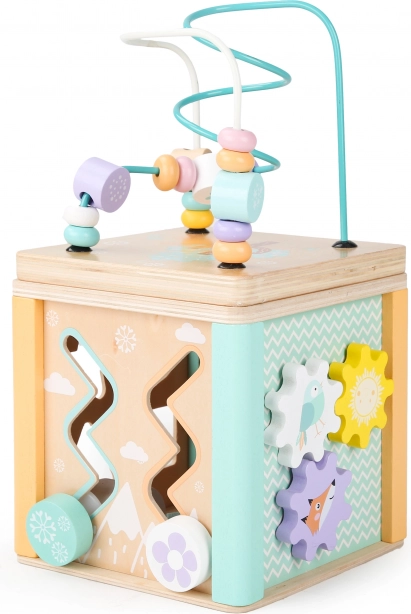 Cube éducatif en bois Ecotoys