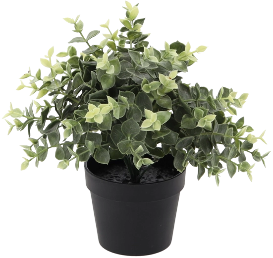 Eucalyptus artificiel en pot 22 cm