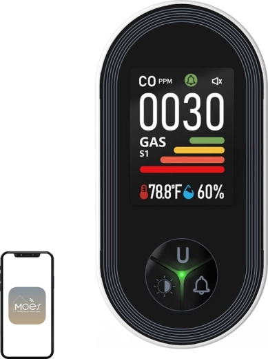 Détecteur de monoxyde de carbone et de gaz inflammables Moes avec écran couleur (S02-CG)
