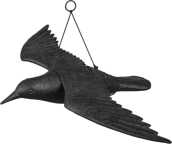 épouvantail suspendu pour oiseaux corbeau