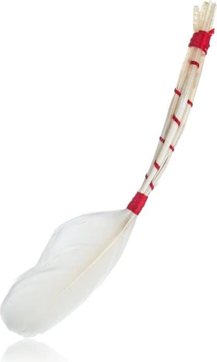 Pinceau de cuisine en plumes d’oie 19 cm