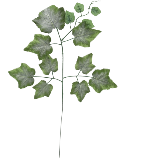 Ensemble de 12 rameaux artificiels avec feuilles de vigne, verts, 78 cm